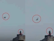 ناقابل یقین ویڈیو، بندر نے ایک اور انسانی عادت اپنالی