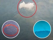 پاک فضائیہ نے نانی یاد دلادی؛ بھارتی فوج نے مزید سیکٹرز پر بھی گھٹنے ٹیک دیے؛ ویڈیوز دیکھیں