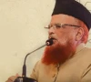 صدر اور فیلڈ مارشل کے تاحیات استثنیٰ کی دنیا کے کسی دستور میں مثال نہیں ملتی، مفتی تقی عثمانی