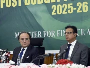 تنخواہ دار طبقے کو ہرممکن ریلیف دیا، مالی گنجائش کے مطابق ہی کام کرسکتے تھے، وزیرخزانہ