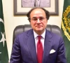 پاکستان نے معاشی استحکام حاصل کرلیا ہے، وزیر خزانہ