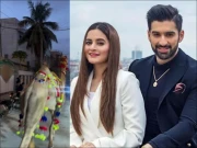 منیب بٹ کا ’’قربانی کا اونٹ‘‘ بھاگ گیا، مداحوں سے خاص اپیل