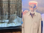 کراچی میں تیتر چھیننے کی کوشش پر بزرگ شہری کے قتل کا انکشاف