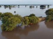 دریائے چناب میں اونچے درجے کا سیلاب، مظفرگڑھ کی کئی تحصیلیں اور دیہات زیرآب