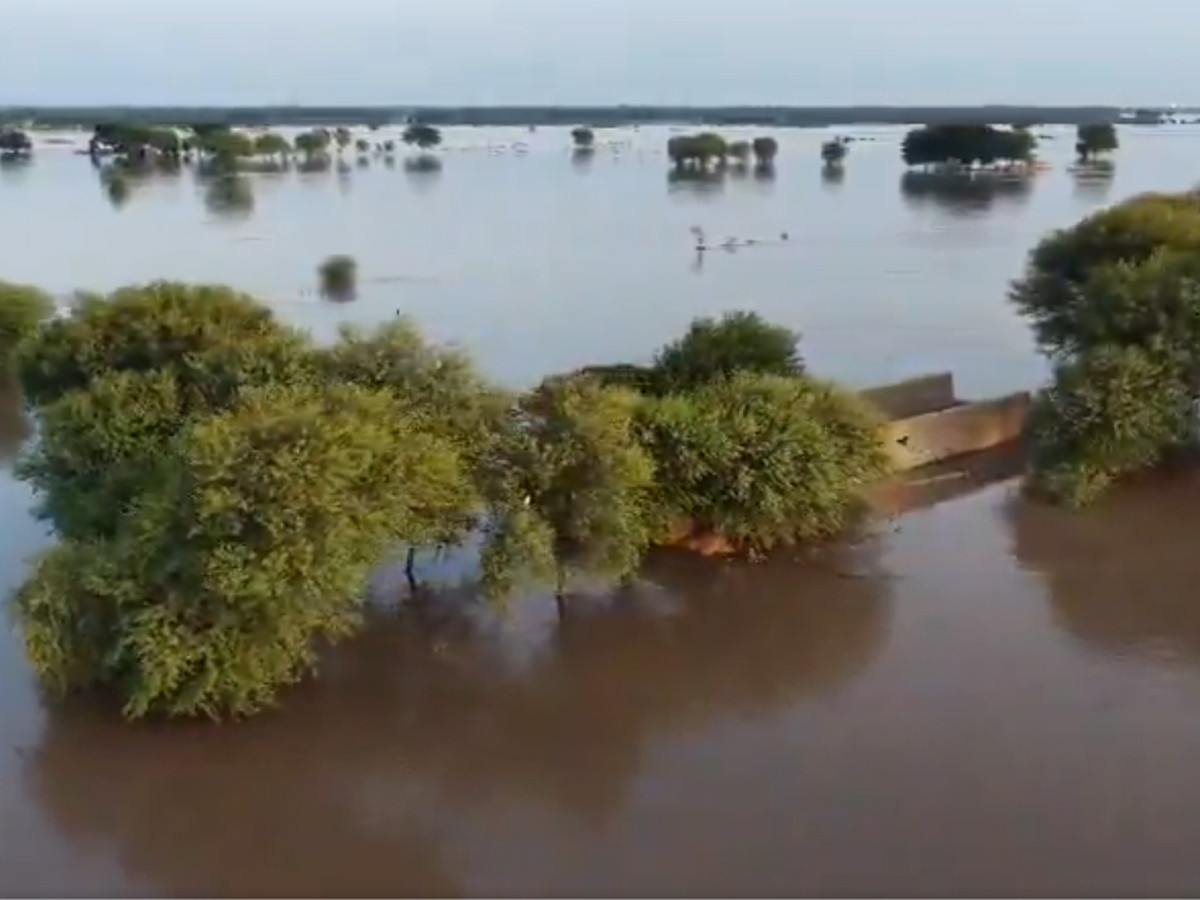دریائے چناب میں اونچے درجے کا سیلاب، مظفرگڑھ کی کئی تحصیلیں اور دیہات زیرآب