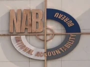 کوہستان کرپشن اسکینڈل، نامزد ملزمان کے اثاثے منجمد کرنے کیلئے درخواست دائر