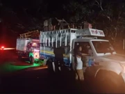 مودی سرکار کا ہندوتوا ایجنڈا؛ آسام اور ناگا لینڈ میں نسلی کشیدگی میں اضافہ