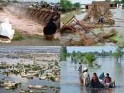 Express News