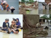 قدرتی آفات اور فعال ادارہ جاتی نیٹ ورک