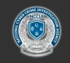شرجیل میمن کے خلاف ہتک آمیز اور جھوٹا مواد پھیلانے کے الزام میں این سی سی آئی اے کے نوٹس جاری