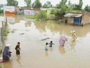 دو ماہ کے دوران بارشوں اور سیلاب سے 831 افراد جاں بحق، کے پی میں 480، پنجاب میں 191 ہلاکتیں