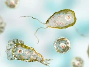 کراچی: نیگلیریا فاولیری کے باعث 29 سالہ شخص جان کی بازی ہار گیا