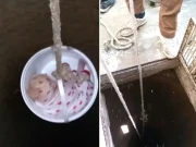 راولپنڈی؛ اولاد نرینہ کے معاملے میں حسد، 10دن کے نومولود کو قتل کرنے والی تائی گرفتار