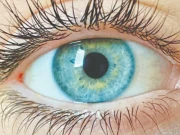 سائنسدانوں کا ایک نیا رنگ دریافت کرنے کا دعویٰ 