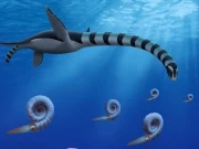 کینیڈا میں عجیب الخلقت سمندری جاندار کی باقیات دریافت