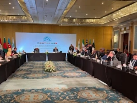 پاکستان اور مصر کا مشترکہ معاشی لائحہ عمل پر اتفاق