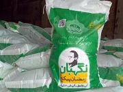 پنجاب میں لاکھوں خاندانوں کو رمضان پیکیج دینے کا فیصلہ، رجسٹریشن شروع