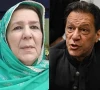 سپریم کورٹ کا حکم: عمران خان کی نورین نیازی سے ملاقات کرادی گئی