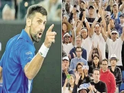 نشے میں دھت تماشائیوں نے جوکووچ کی ناک میں دم کردیا