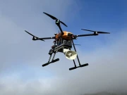 جاپان میں بھالوؤں کو آبادی سے دور رکھنے کیلئے ’بھونکنے والے ڈرونز‘ تعینات