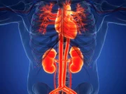 گردوں کی ناکامی سے ہونے والی اموات کے پیچھے کونسا عام مرض مخفی