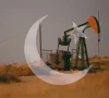 پاکستان کا پہلا افقی تیل کا کنواں فعال، یومیہ پیداوار کتنی ہے؟