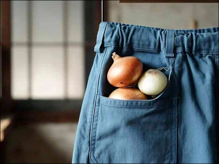 کیا جیب میں پیاز رکھ کر ہیٹ اسٹروک اور لُو لگنے سے واقعی بچا جاسکتا ہے؟