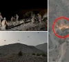 سیکیورٹی فورسز کے ہاتھوں مزید 4 دہشتگرد جہنم واصل، آپریشن شعبان میں ہلاکتیں 83 ہو گئیں