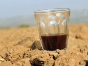 کیا کافی ڈی ہائیڈریشن کرواتی ہے؟ حقیقت یا عام غلط فہمی