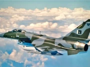 پاک فضائیہ نے بھارت کے متعدد طیارے مار گرائے تھے