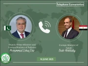 پاکستان اور مصر کے وزارئے خارجہ میں رابطہ، ایران اسرائیل جنگ پر بات چیت