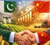 پاک چین سفارتی تعلقات کے 75 برس، صدر زرداری  اور وزیراعظم کے خصوصی پیغامات