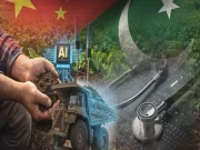 پاکستان اور چین کا صحت، زراعت اور معدنیات میں اے آئی تعاون مضبوط بنانے پر اتفاق