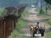 بھارت کا بڑھتا جنگی جنون، اٹاری میں فصلوں کی کٹائی کیلیے عوام کو دو دن کی مہلت