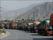 قائمہ کمیٹی خزانہ کی پاک ایران بارڈر پر پھنسے 600 ٹرکوں کو چھوڑنے کی ہدایت، ایف بی آر کی یقین دہانی