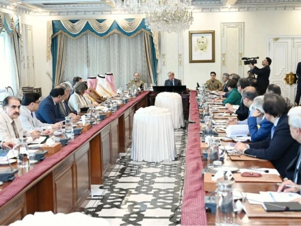 سعودی تجارتی وفد کی وزیراعظم سے ملاقات، بندرگاہوں اور ایئرپورٹس کی آؤٹ سورسنگ میں اظہار دلچسپی