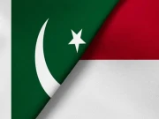 انڈونیشیا اور پاکستان کے درمیان جلد تجارتی معاہدے ہونگے