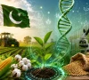 قومی زرعی بائیوٹیکنالوجی پالیسی 2025، جدید زراعت اور کسانوں کی ترقی کیلیے اہم اقدام
