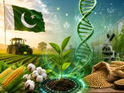 Express News