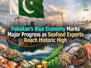 Express News