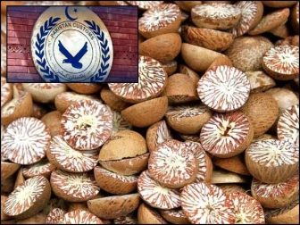 حب: کروڑوں روپے مالیت کی 30.5 میٹرک ٹن اسمگل شدہ چھالیہ برآمد، چار مسافر بسیں ضبط