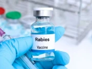 پاکستان میں پہلی بار مقامی سطح پر ریبیز ویکیسن تیار