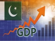 وفاقی حکومت قرضوں کا بوجھ کم کرنے میں کامیاب