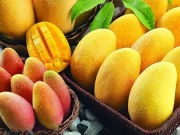 پاکستان دنیا بھر میں آم برآمد کرنے والا تیسرا بڑا ملک بن گیا 