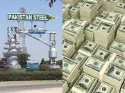 اسٹیل ملز کی بندش کا زرمبادلہ ذخائر اور توازن تجارت پر منفی اثر