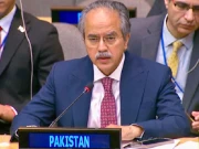 سلامتی کونسل کے اجلاس میں اسرائیلی نمائندے کے ریمارکس پر پاکستان کا کرارا جواب