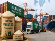 ملائیشیا کیلیے پاکستانی چاول کی برآمدات میں مزید 70 ہزار میٹرک ٹن اضافہ
