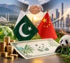 پاکستانی پانڈا بانڈ کی ریکارڈ طلب اور شاندار پذیرائی، عالمی اعزاز حاصل