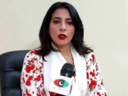 ملک میں جو انتشار پھیلایا جا رہا ہے اسکا مقصد ایٹمی پروگرام بند کرانا ہے، پلوشہ خان