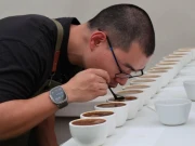 گیشا کافی 2025 میں ریکارڈ قیمت میں نیلام